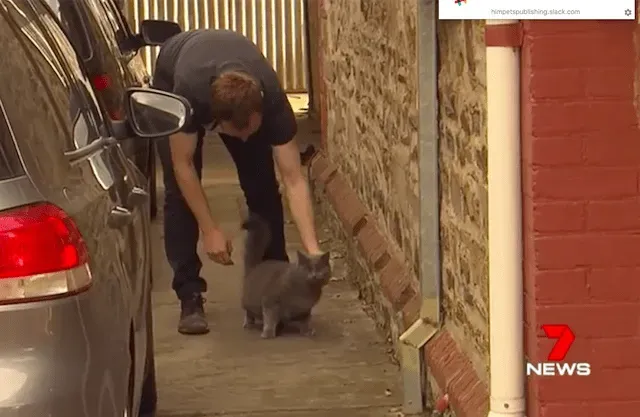 This heartwarming story serves as a remi...