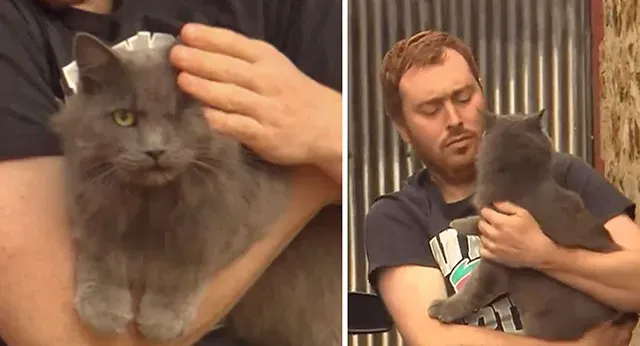 Adopted by Andrew five months ago, Manny...