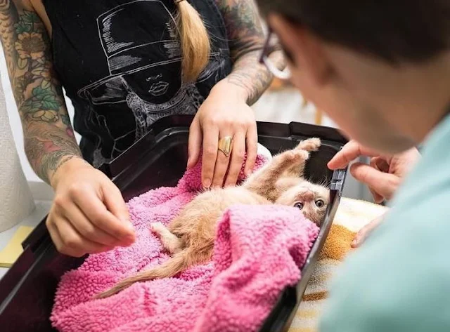 “Сhlоe is mоre than her paralysis....