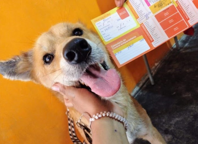 «This is our beautiful HAIRY’s cha...