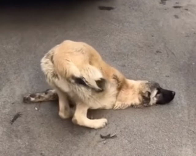 “This is too painful; I’m re...