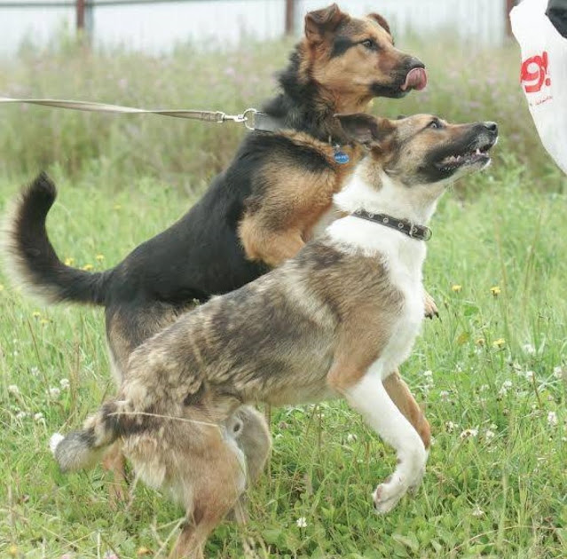 Luke’s life has radically transfor...