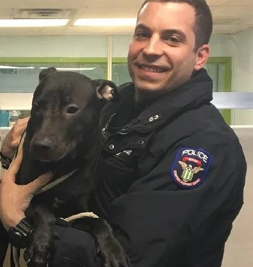 Animal Care Centers required that Joey u...