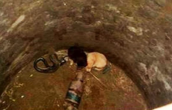 However, the cobra’s behavior was peculi...