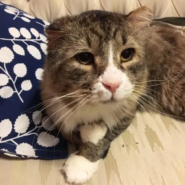 Extra image from article