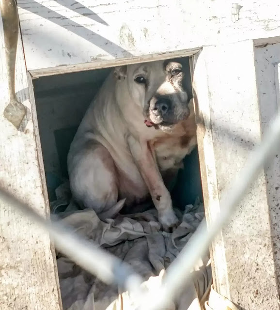 Apart from emotional healing, Pamela req...