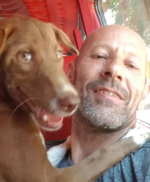 After being examined by a veterinarian, ...