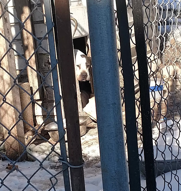 Pamela was understandably frightened by ...