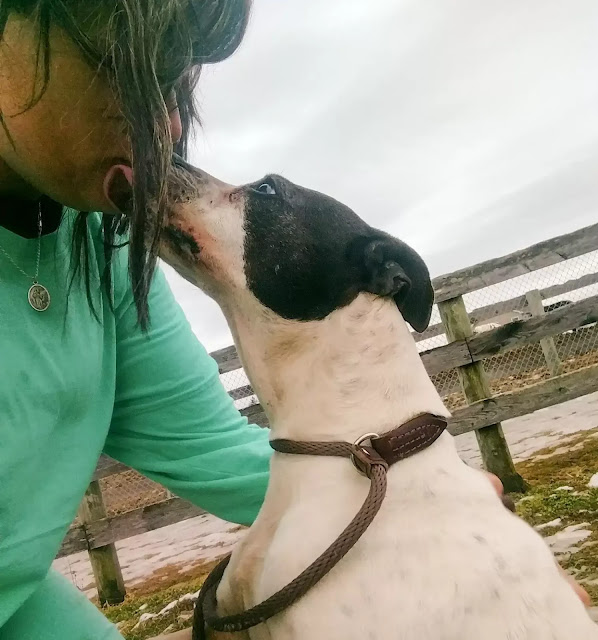 During one morning walk, Guido wrote,