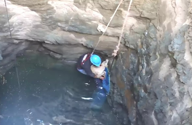 Extra image from article