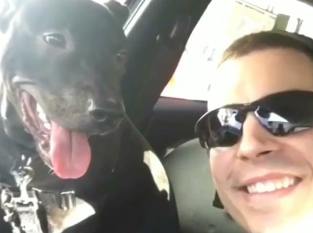 Extra image from article