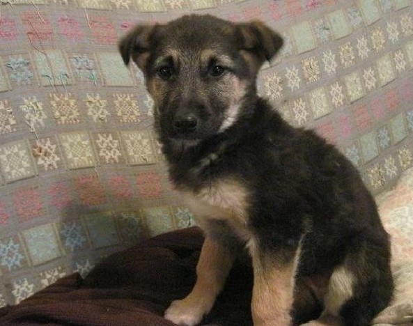 Extra image from article