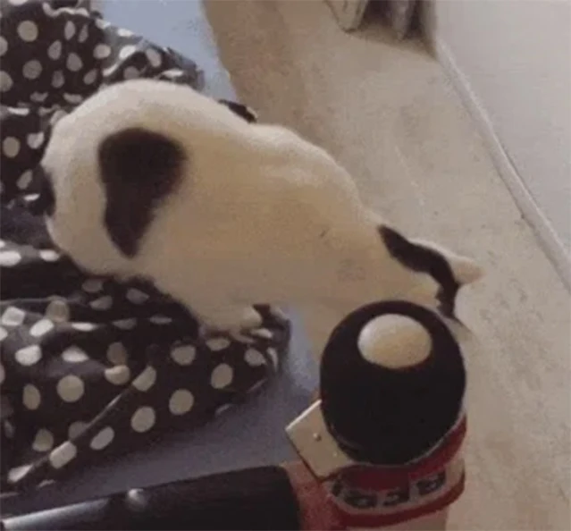 Rocket might have a different way of get...
