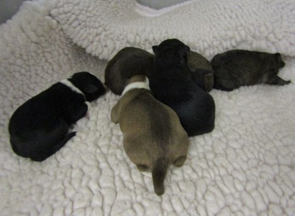 Caring for a family of seven was no smal...