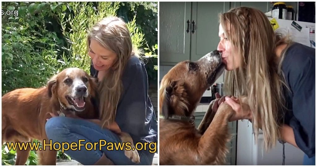 Extra image from article