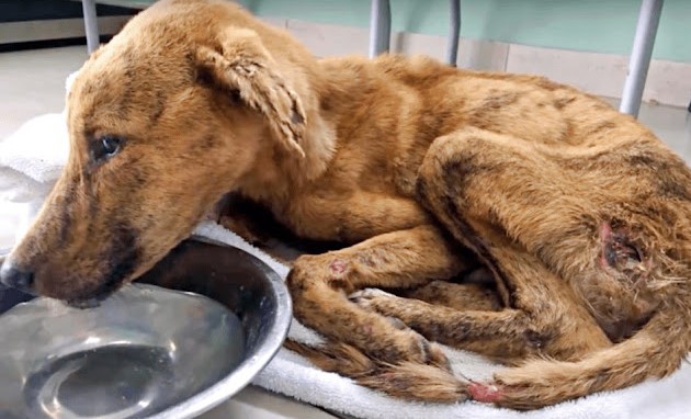 Extra image from article