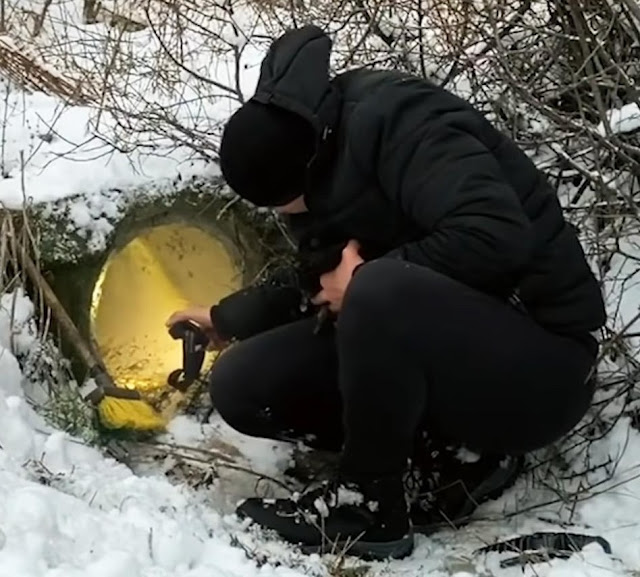 Once reunited, the canine family was bro...