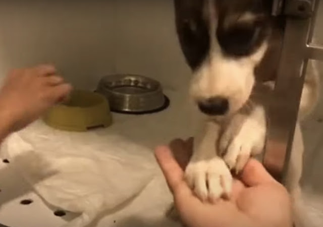 Extra image from article