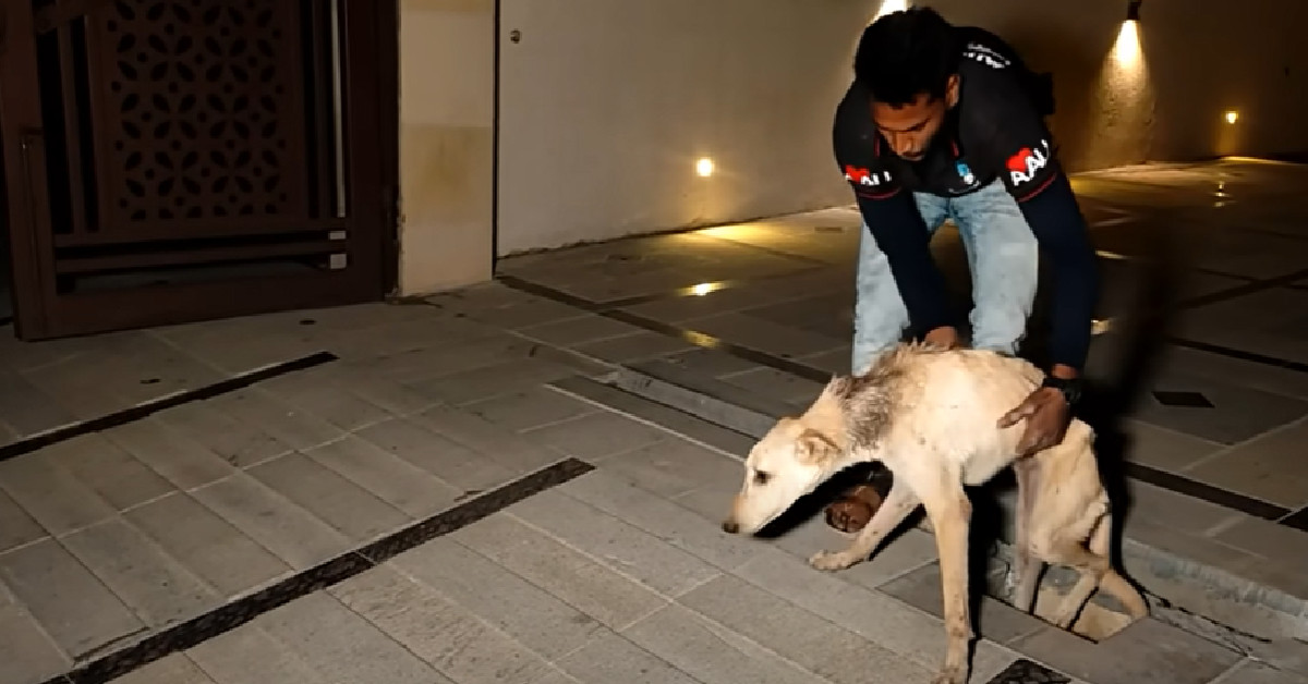 Despite the pain and discomfort, Dovey’s...