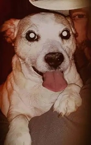 Once safely home, Mr. Davidson quickly a...