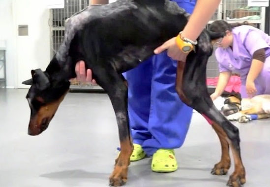 Extra image from article