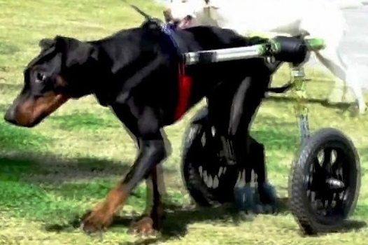 Extra image from article