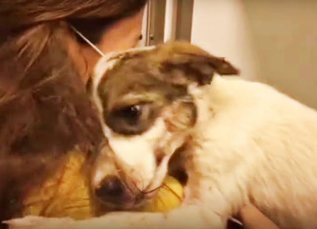 Extra image from article