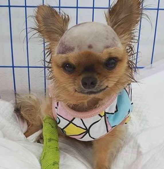 Although still in critical condition and...