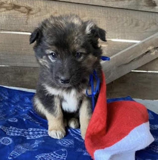 Extra image from article