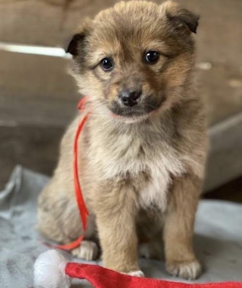 Extra image from article