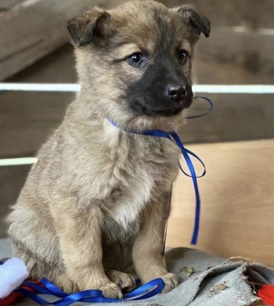 Extra image from article