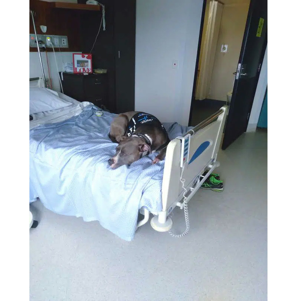 Extra image from article