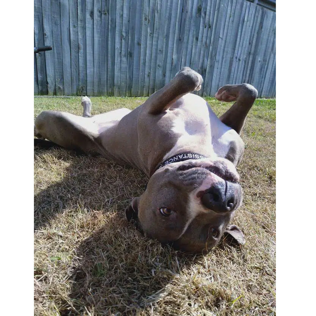 Their bond was tested one day when Shaun...