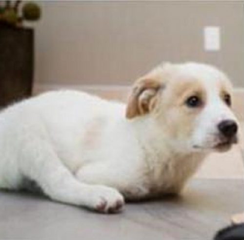 Extra image from article