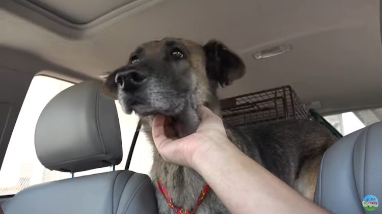 Upon receiving a call, volunteers from H...