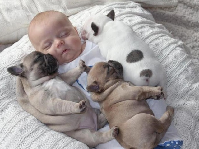 This inspiring story captures the purity...