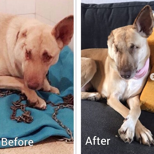 Recognizing Maggie's potential as a ther...