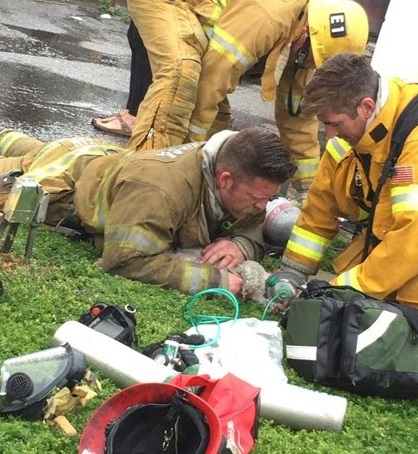 Heroic Firefighter Rescues Puppy with "Mouth-to-Snout" CPR in Santa Monica Blaze