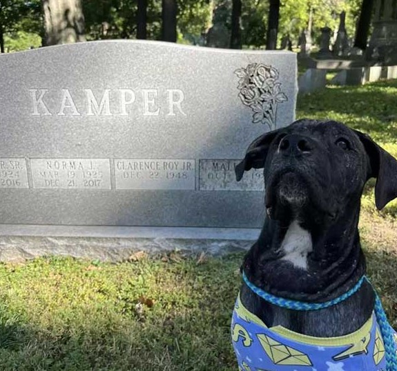 As Kamper regained his health, the team ...