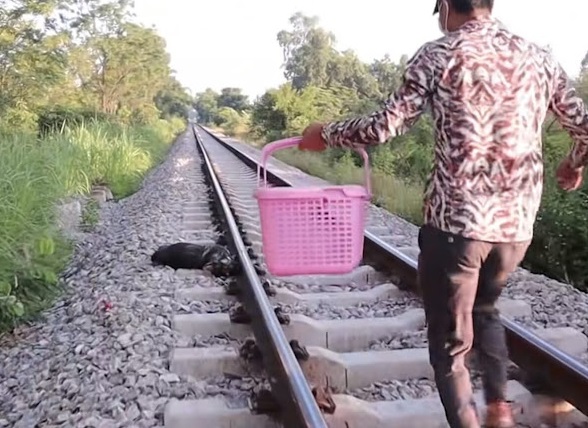 Extra image from article