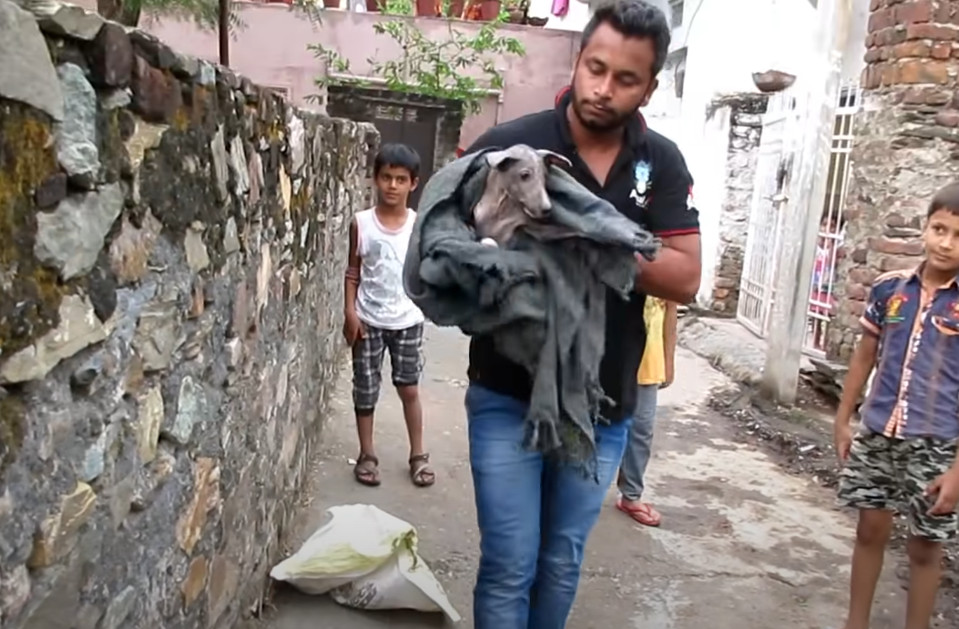 Despite the challenges, a group of dedic...