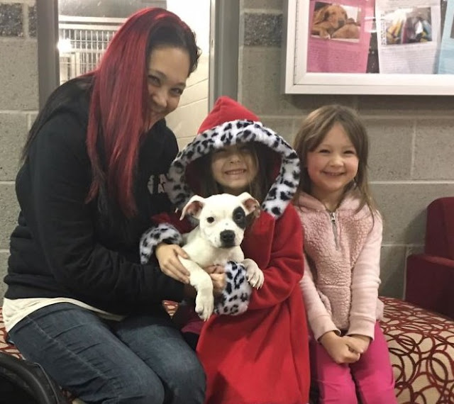 Extra image from article