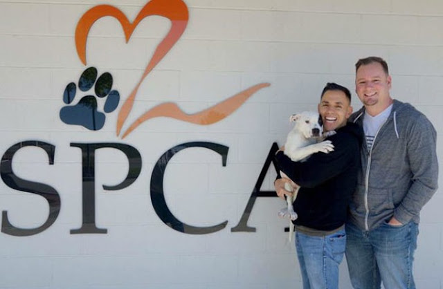 Extra image from article