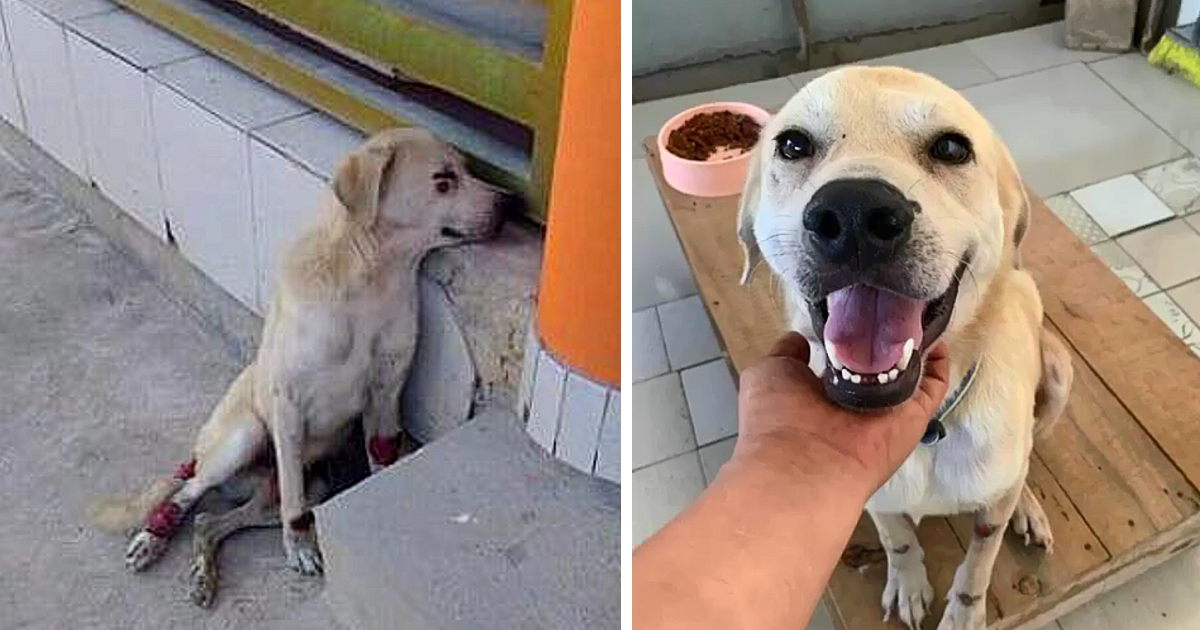 Coronel's story is one of perseverance a...