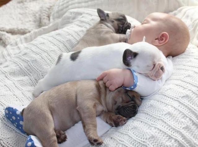 Extra image from article