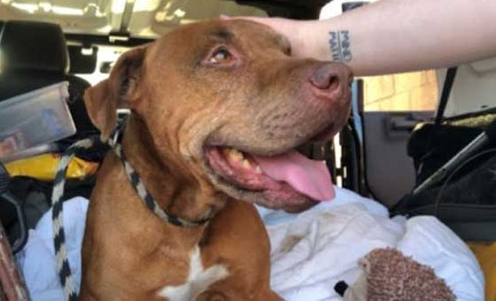 Extra image from article