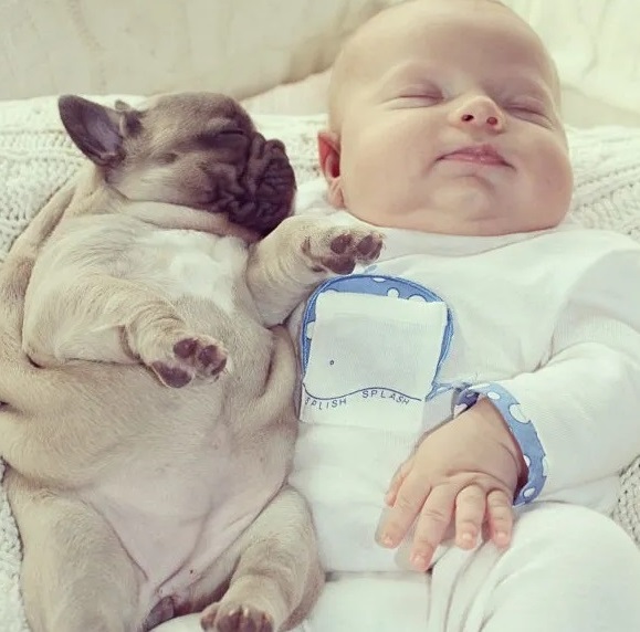 Extra image from article