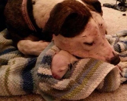 However, Penny's story took a sad turn w...