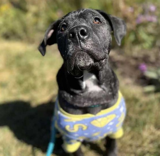 Extra image from article