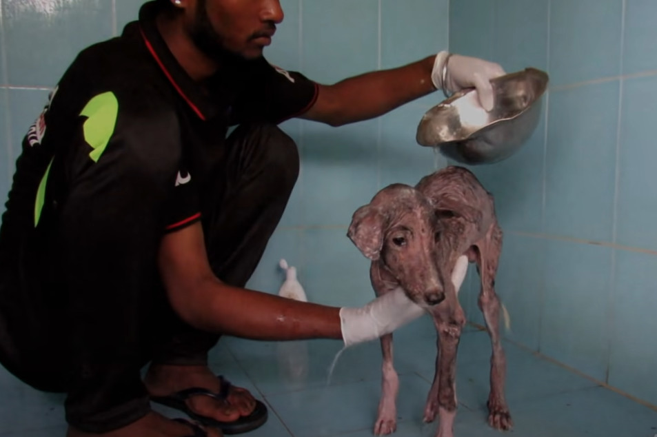 Jumper's story, marked by initial suffer...